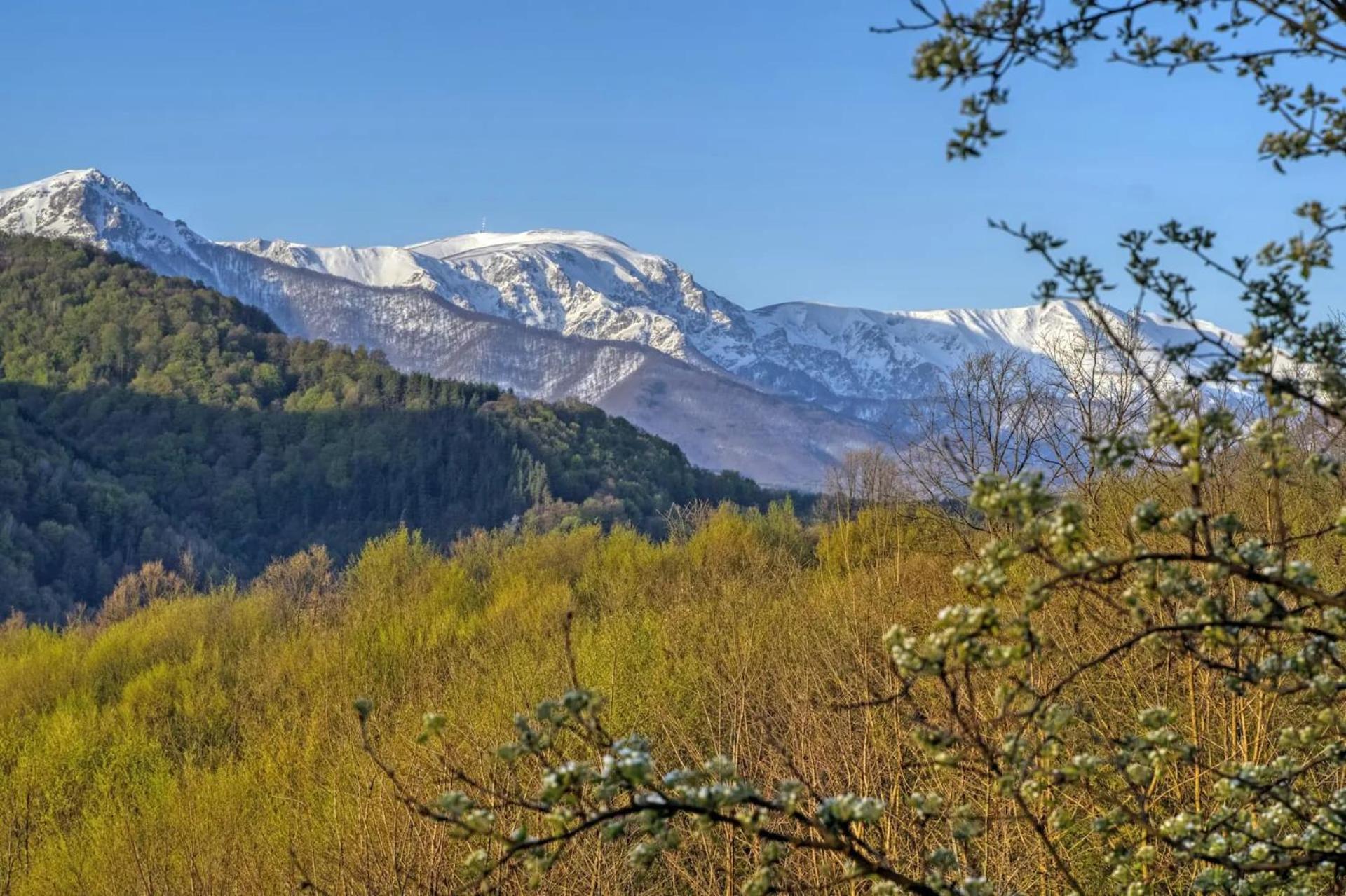Authentic House With Stunning Mountain View - Karashka Villa Apriltsi  Exterior photo
