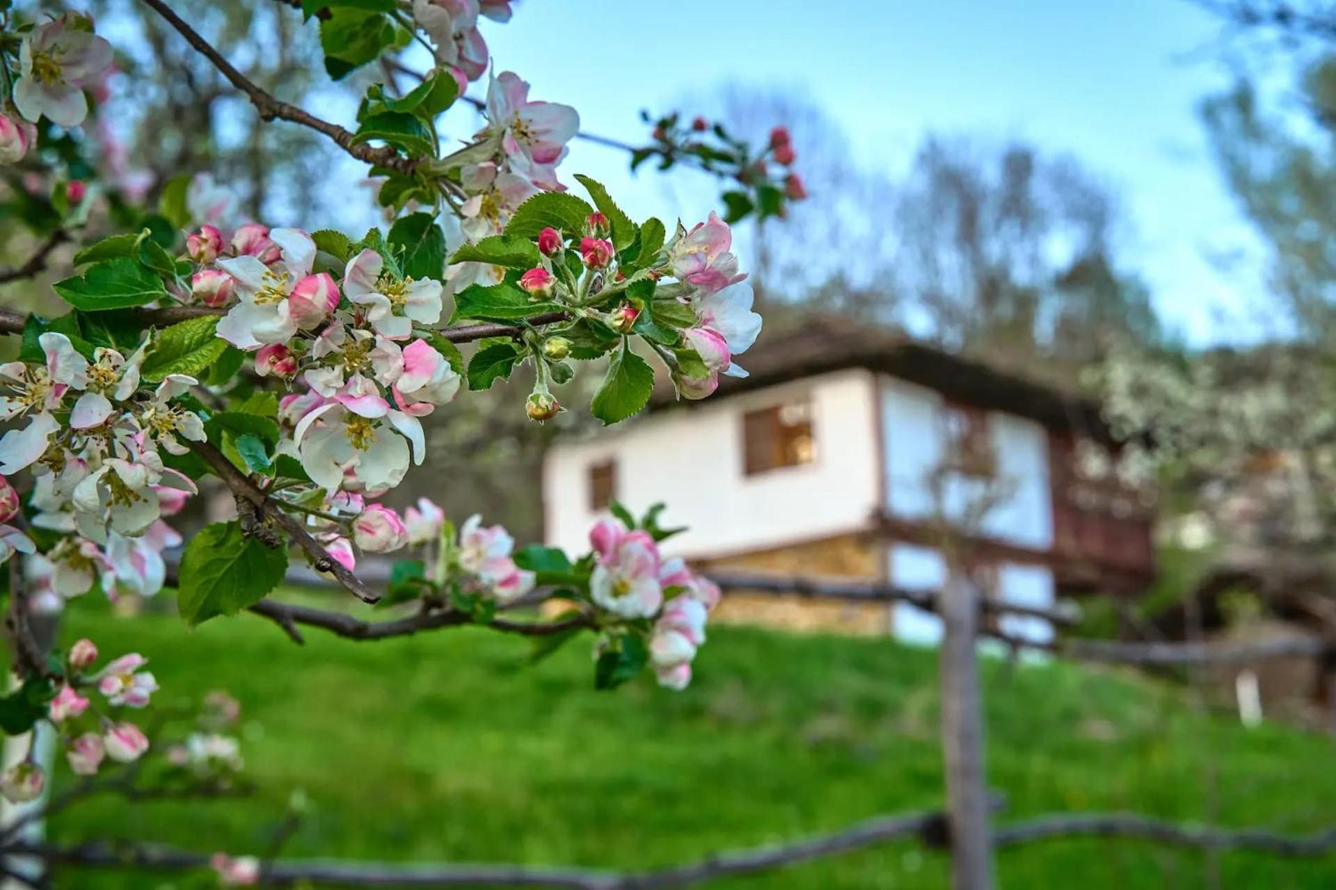 Authentic House With Stunning Mountain View - Karashka Villa Apriltsi  Exterior photo